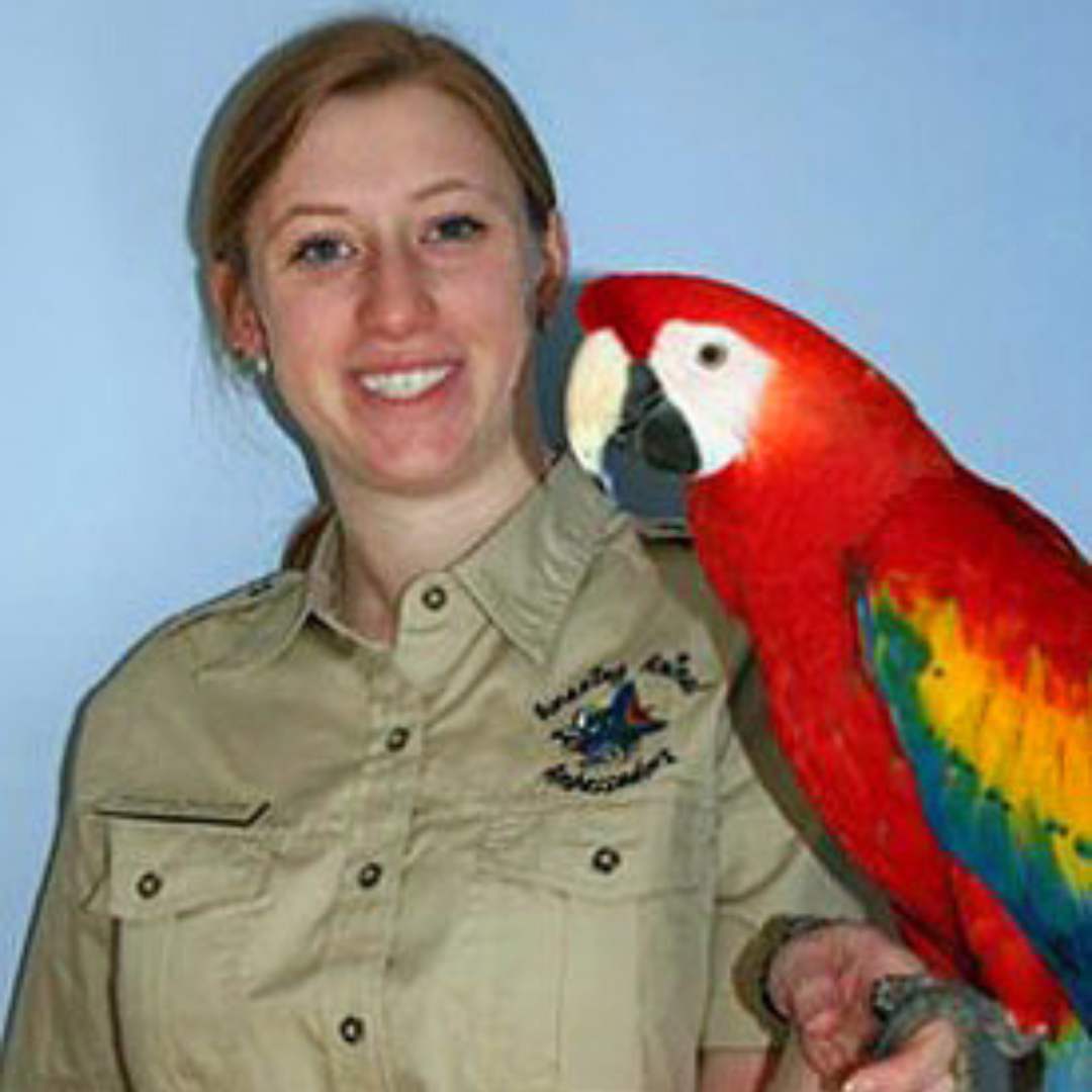 Experience wild animals up close with the Amazing Animal Ambassadors at the Cape Cod Natural History Museum